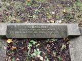 image of grave number 313996